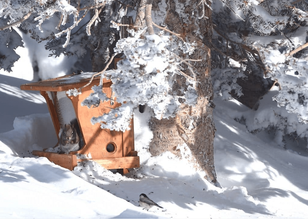 202223 officially second snowiest season on record at Steamboat Resort